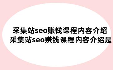 采集站seo赚钱课程内容介绍 采集站seo赚钱课程内容介绍是什么